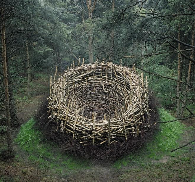 The Nest (Lüneburg Heath)